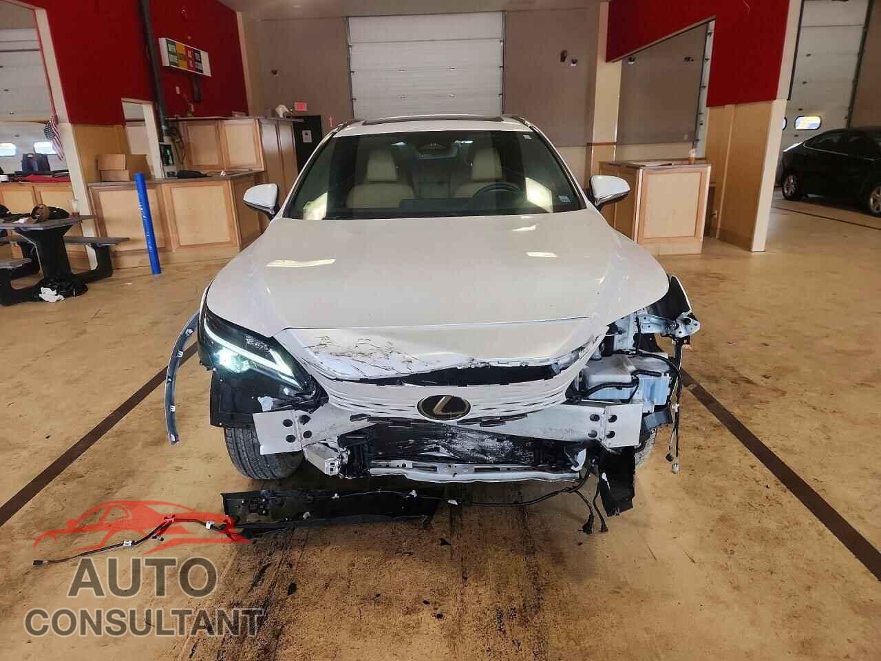 LEXUS UNKNOWN 2024 - 2T2BBMCA4RC038148