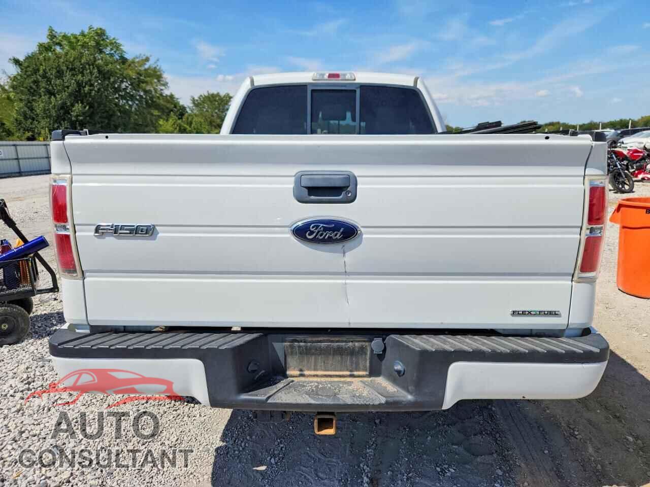 FORD F150 2013 - 1FTFX1EF0DFD41233
