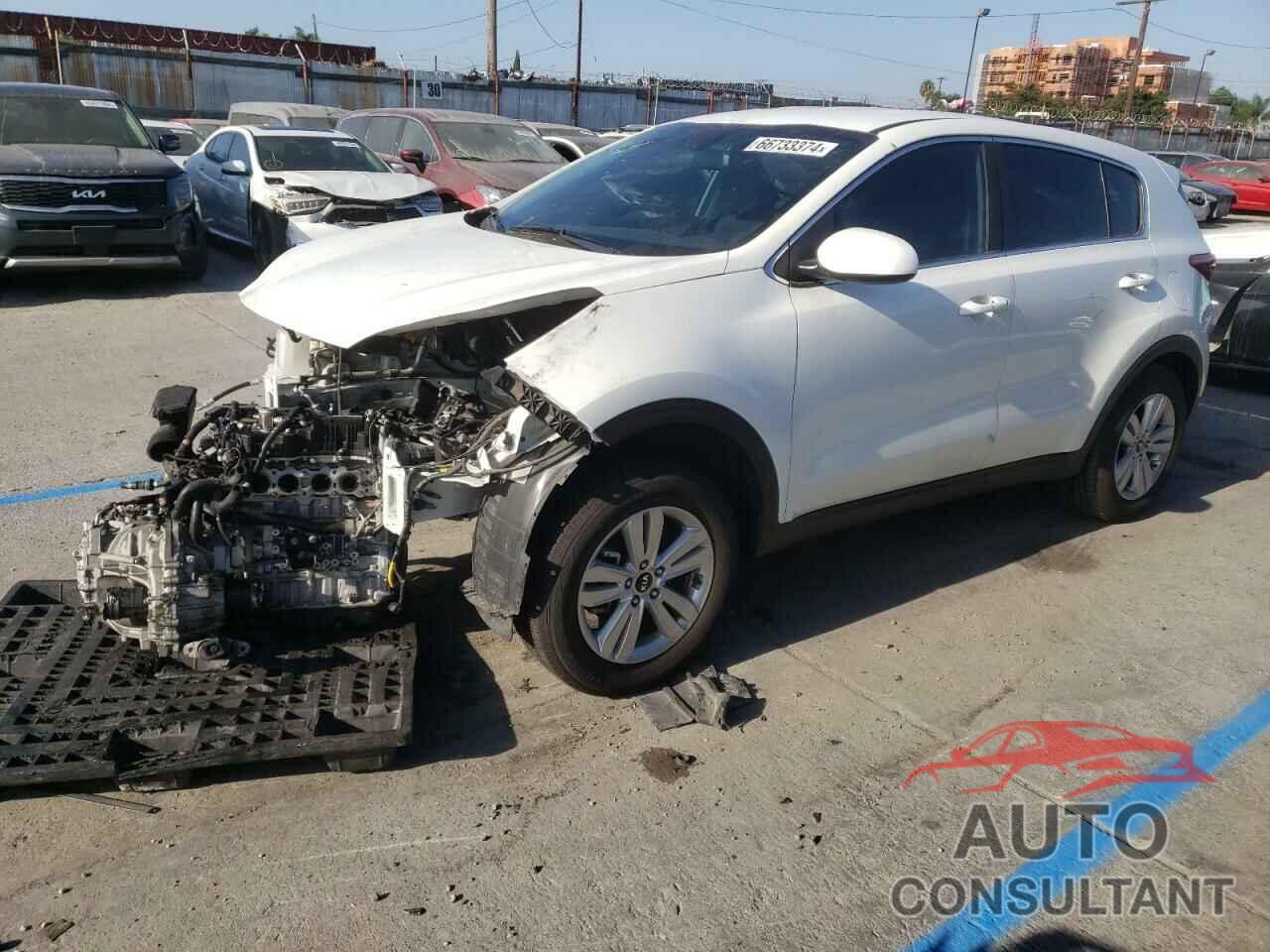 KIA SPORTAGE 2019 - KNDPM3ACXK7594667