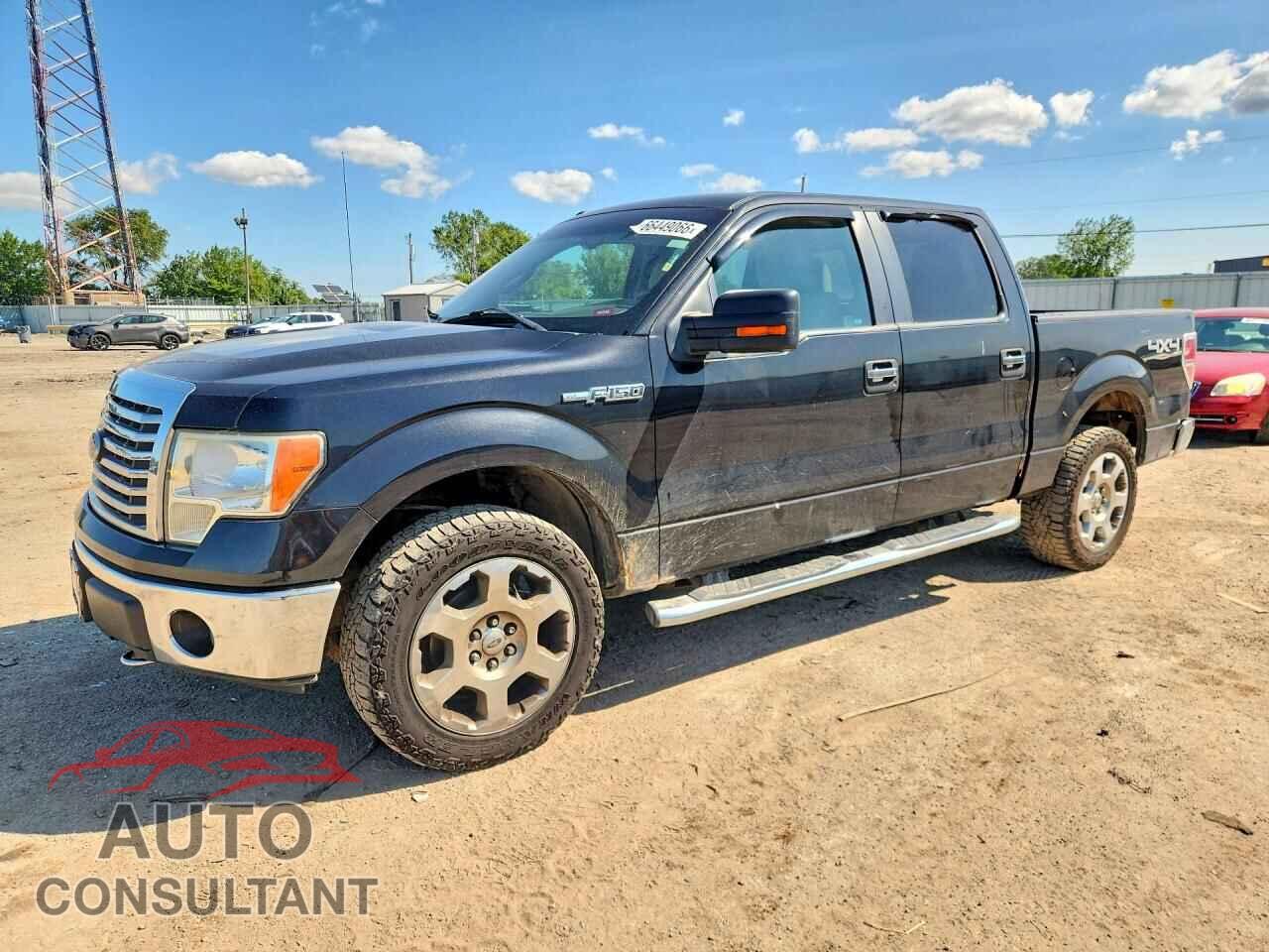 FORD F150 2010 - 1FTFW1EV1AFC83963