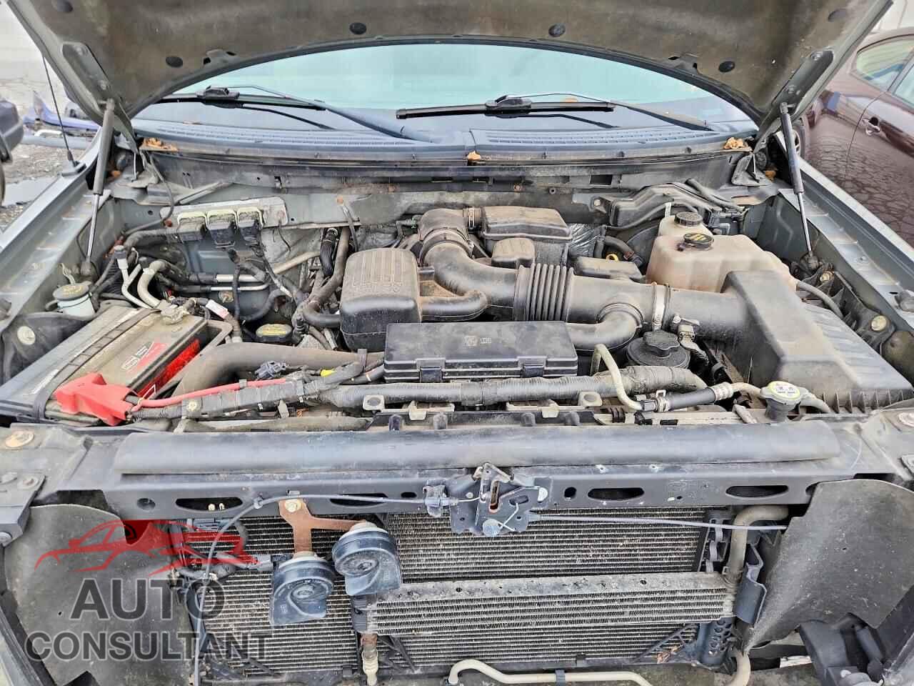 FORD F150 2010 - 1FTFW1EV1AFC31054