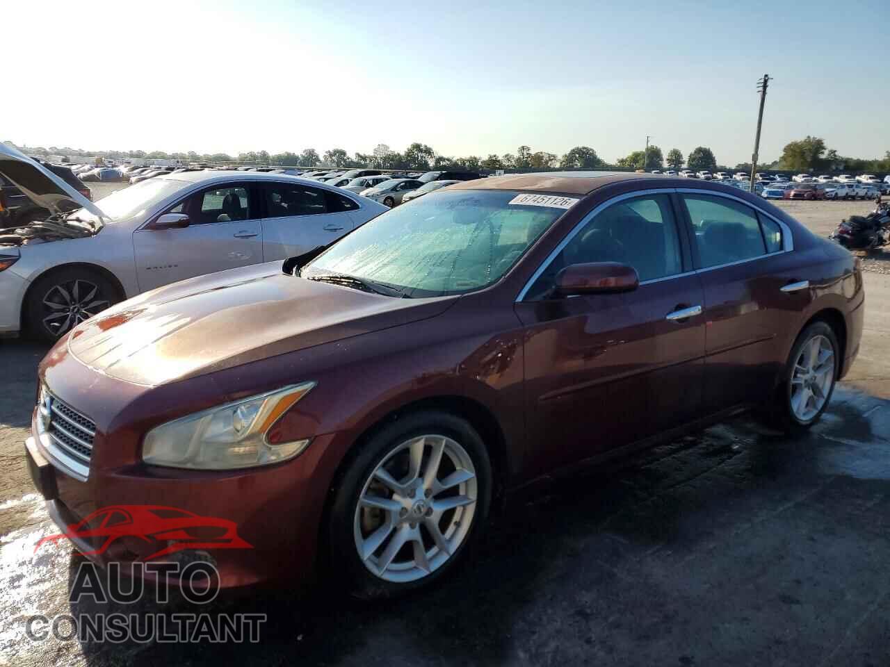 NISSAN MAXIMA 2011 - 1N4AA5AP1BC801683