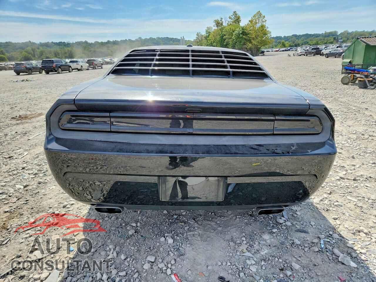 DODGE CHALLENGER 2014 - 2C3CDYAG2EH247314