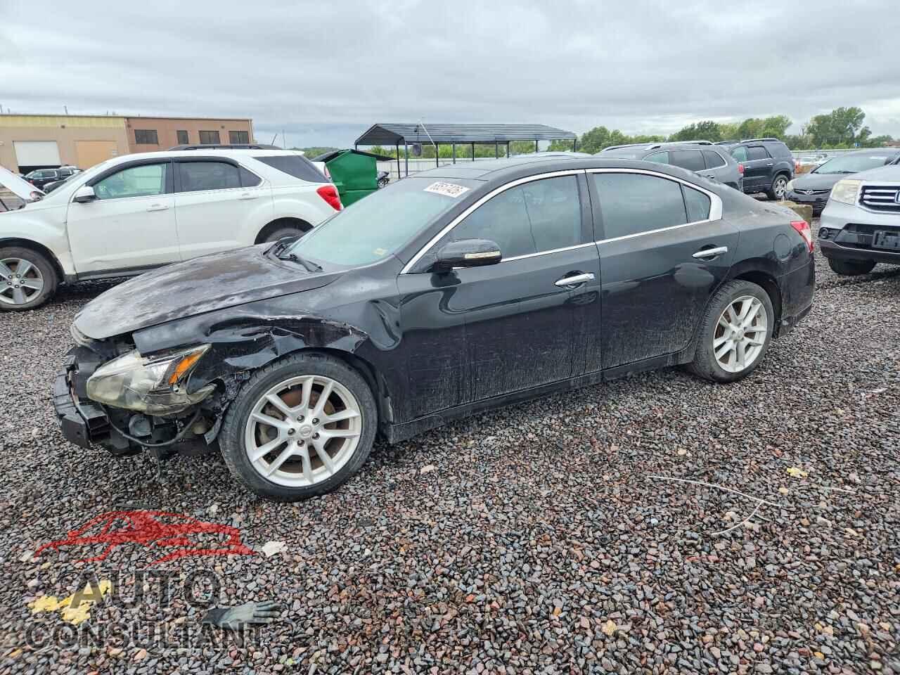 NISSAN MAXIMA 2009 - 1N4AA51E59C834307