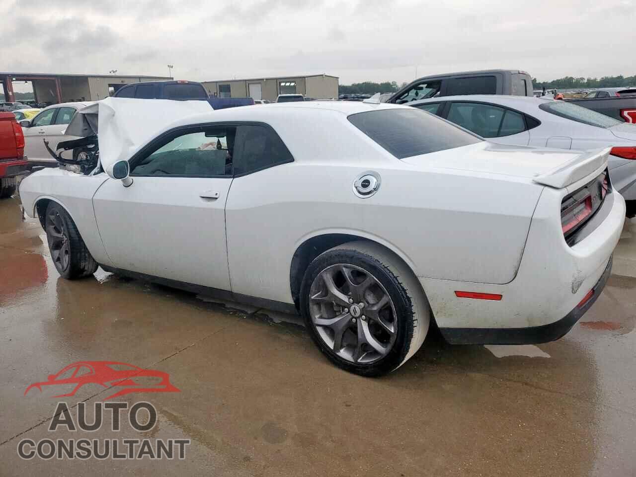 DODGE CHALLENGER 2019 - 2C3CDZAG9KH751487