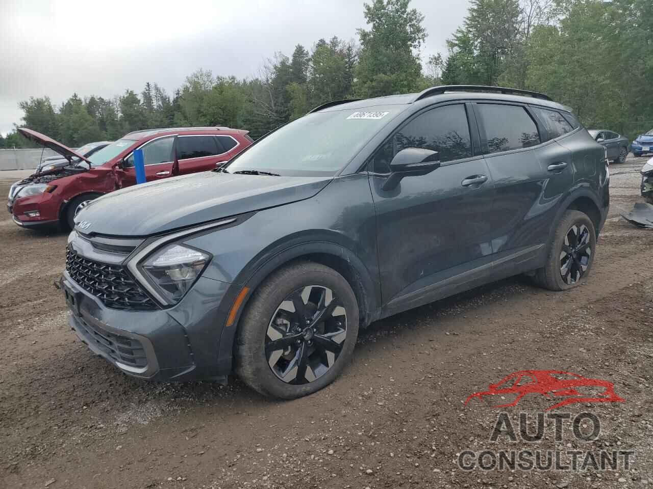 KIA SPORTAGE 2024 - KNDPUCDF7R7247605