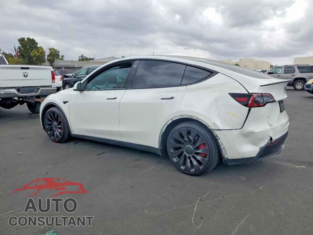 TESLA MODEL Y 2022 - 7SAYGDEF1NF446043