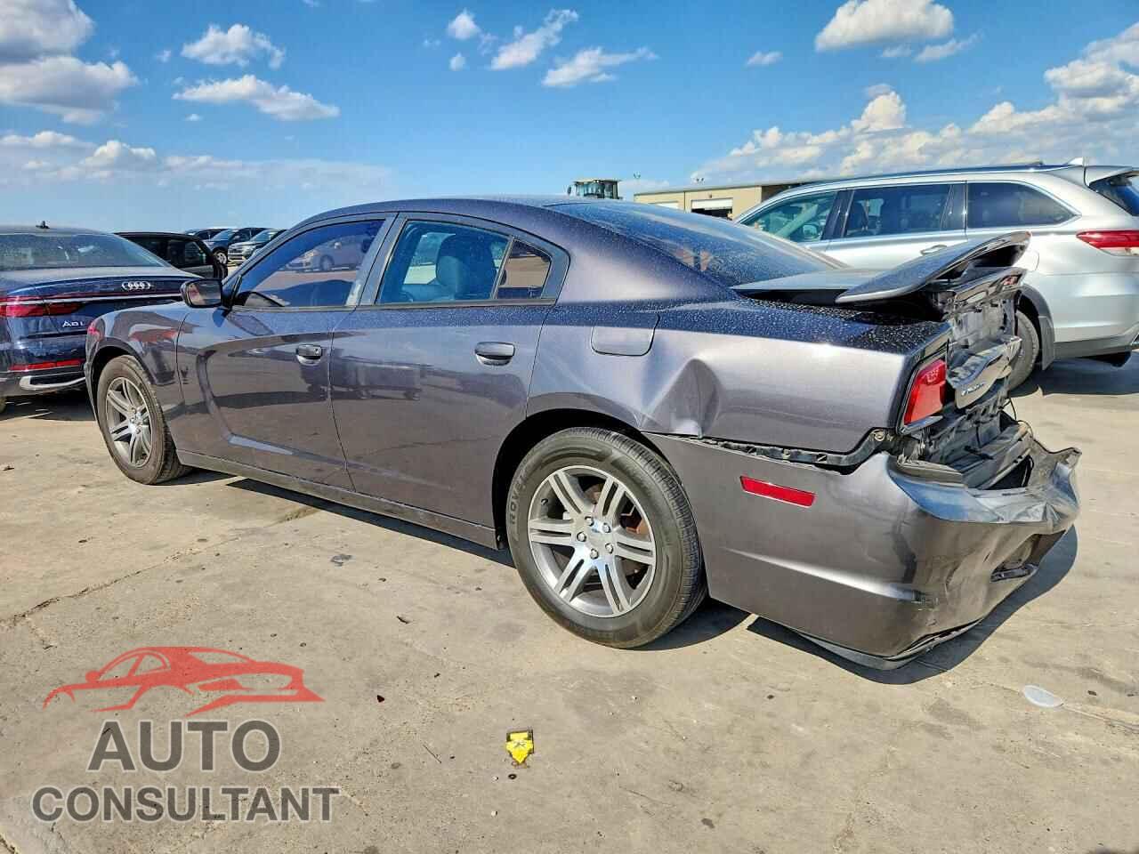 DODGE CHARGER 2014 - 2C3CDXHG9EH143791