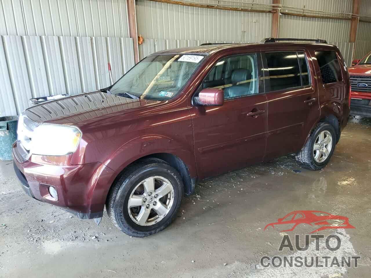 HONDA PILOT 2010 - 5FNYF4H52AB030936
