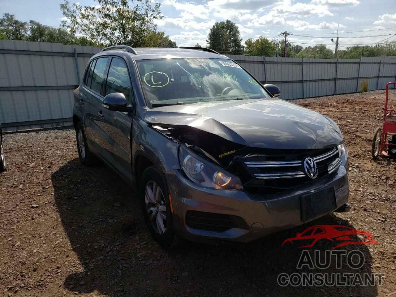 VOLKSWAGEN TIGUAN 2016 - WVGBV7AX8GW524031