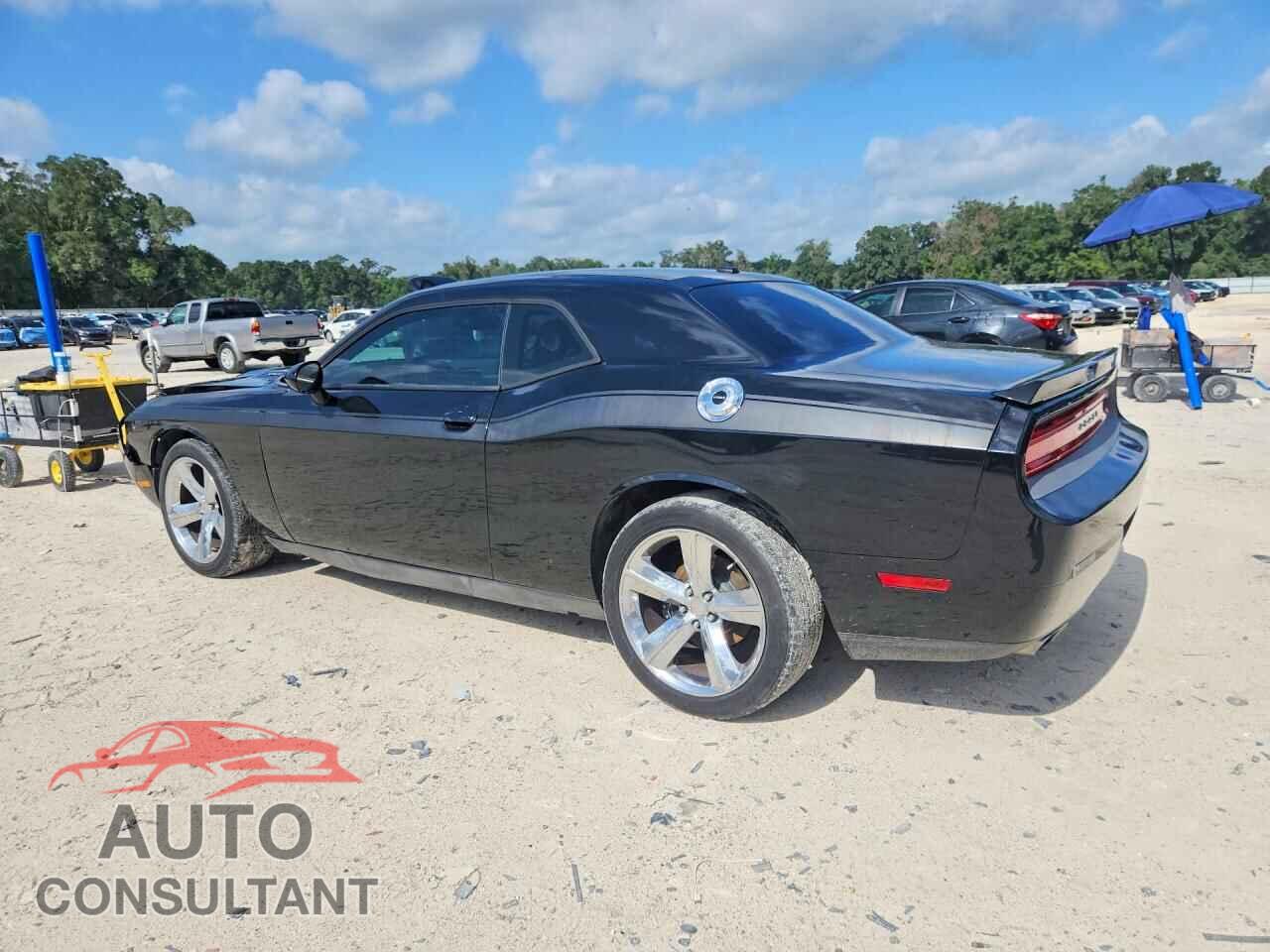 DODGE CHALLENGER 2014 - 2C3CDYBT9EH196390