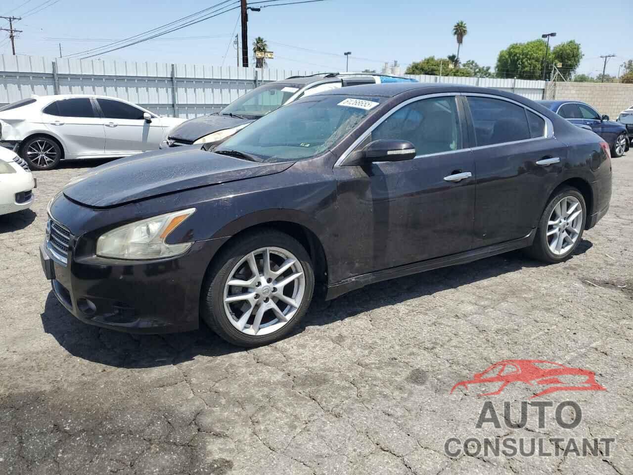 NISSAN MAXIMA 2011 - 1N4AA5AP8BC811367