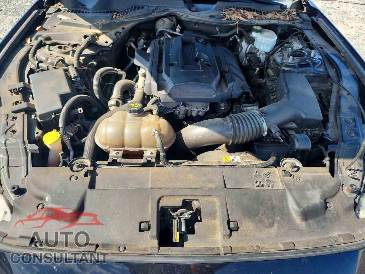 FORD MUSTANG 2018 - 1FA6P8TH8J5116448