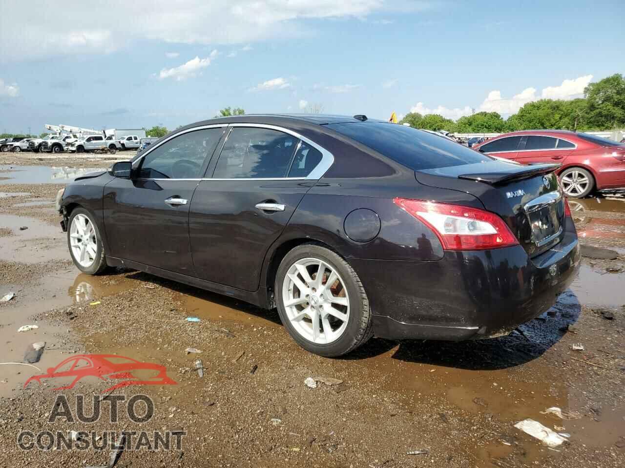 NISSAN MAXIMA 2011 - 1N4AA5AP1BC836885