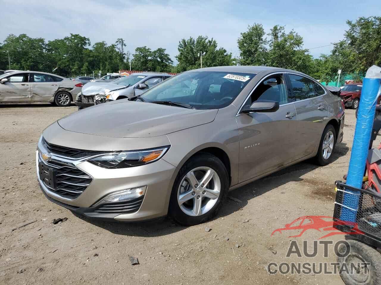 CHEVROLET MALIBU 2024 - 1G1ZC5ST2RF241998