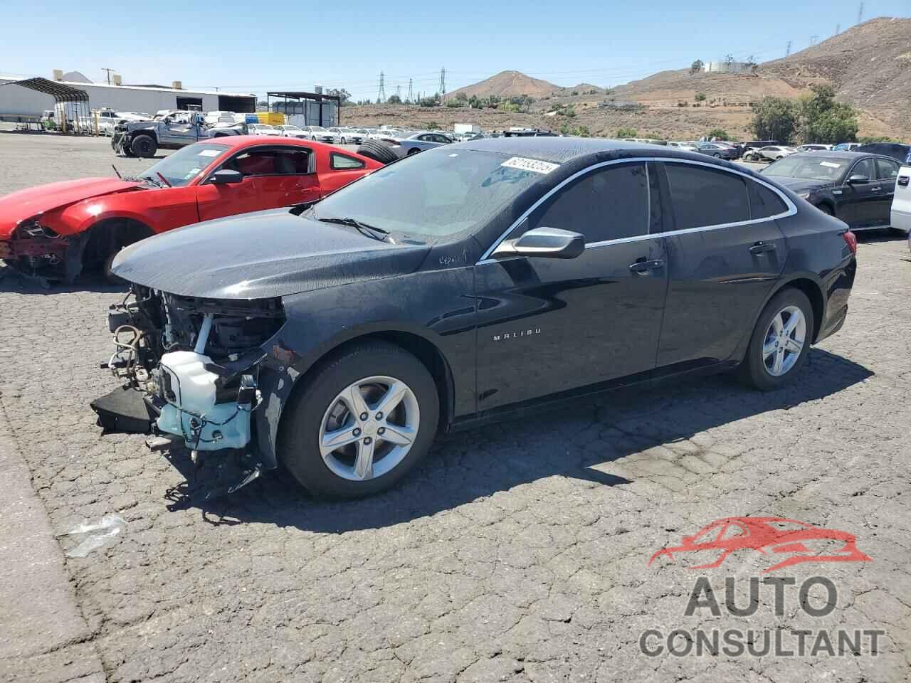 CHEVROLET MALIBU 2019 - 1G1ZB5ST2KF120803