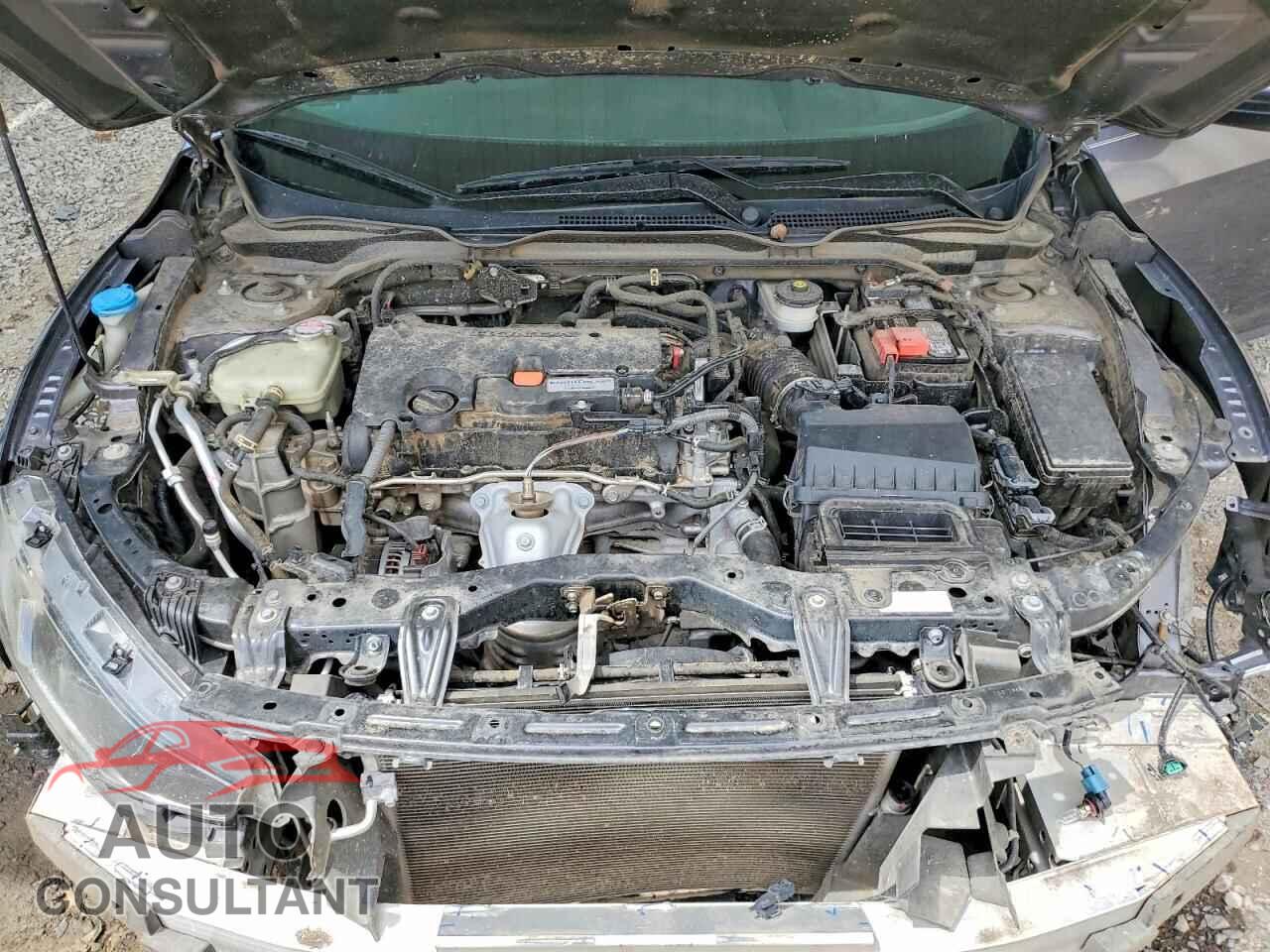 HONDA CIVIC 2020 - 2HGFC2F65LH575415