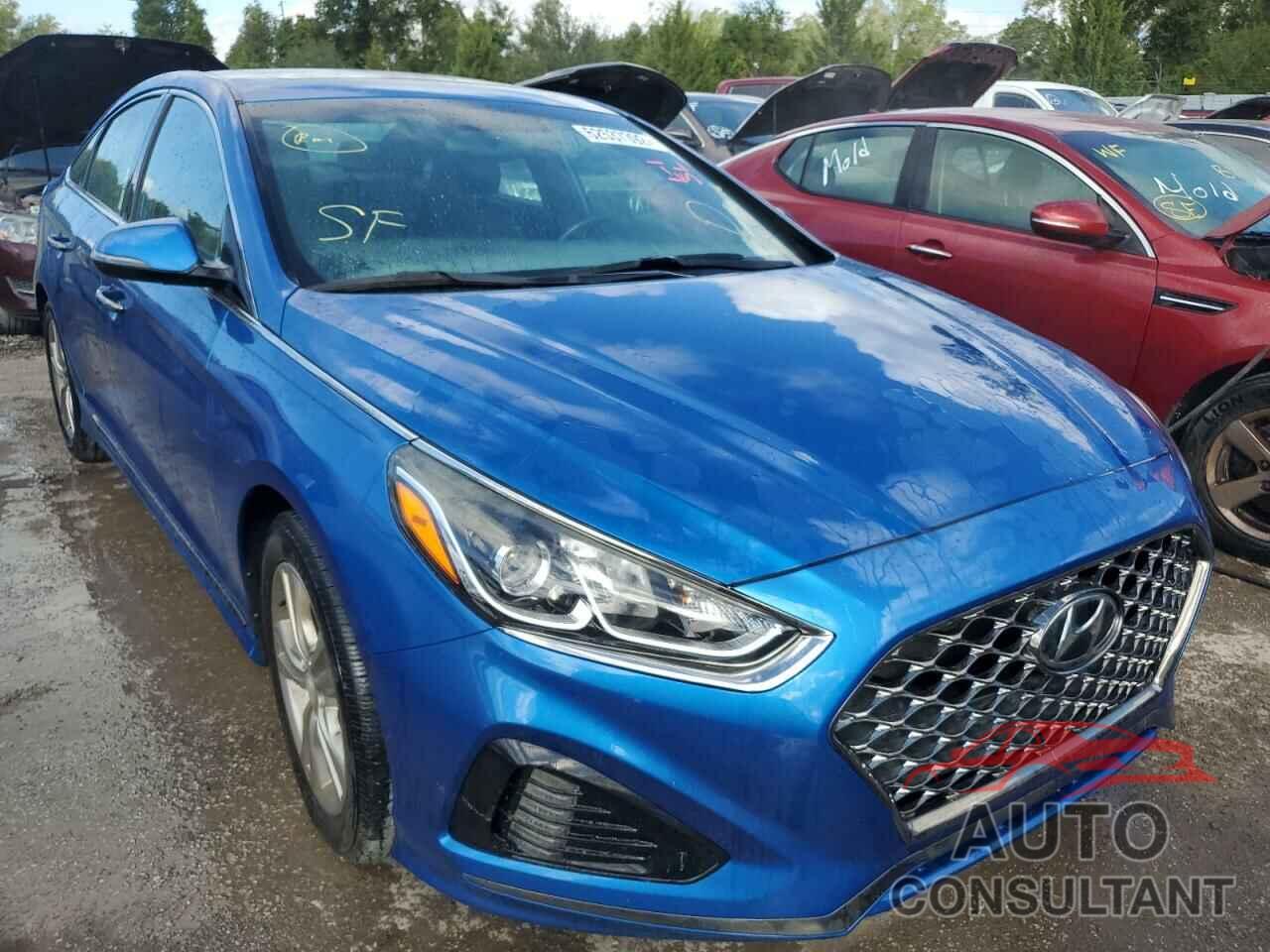 HYUNDAI SONATA 2018 - 5NPE34AF0JH669588
