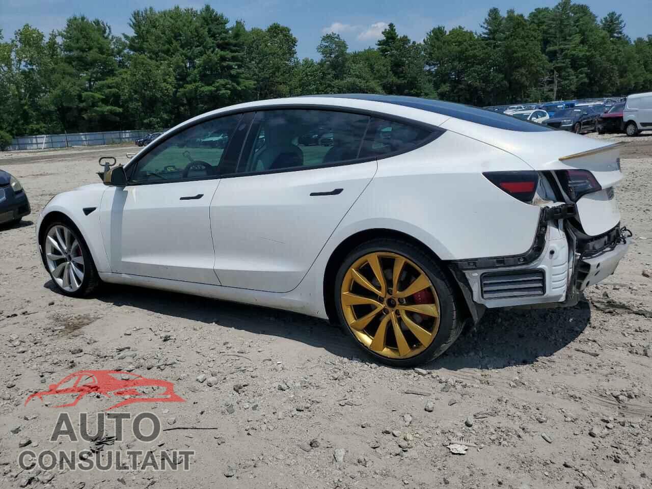 TESLA MODEL 3 2019 - 5YJ3E1EB0KF487588