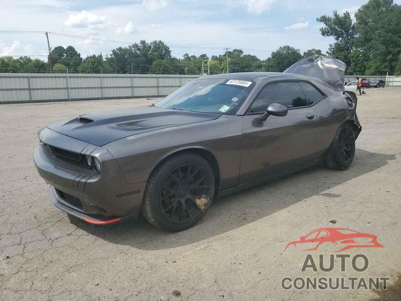 DODGE CHALLENGER 2018 - 2C3CDZAG5JH276404