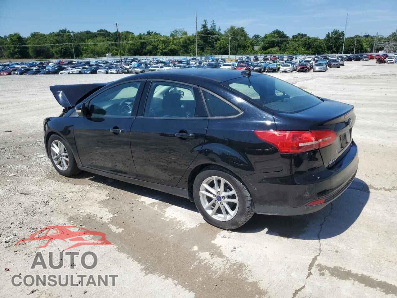 FORD FOCUS 2016 - 1FADP3F26GL394495