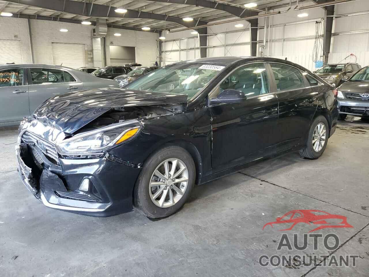 HYUNDAI SONATA 2019 - 5NPE24AF7KH751208