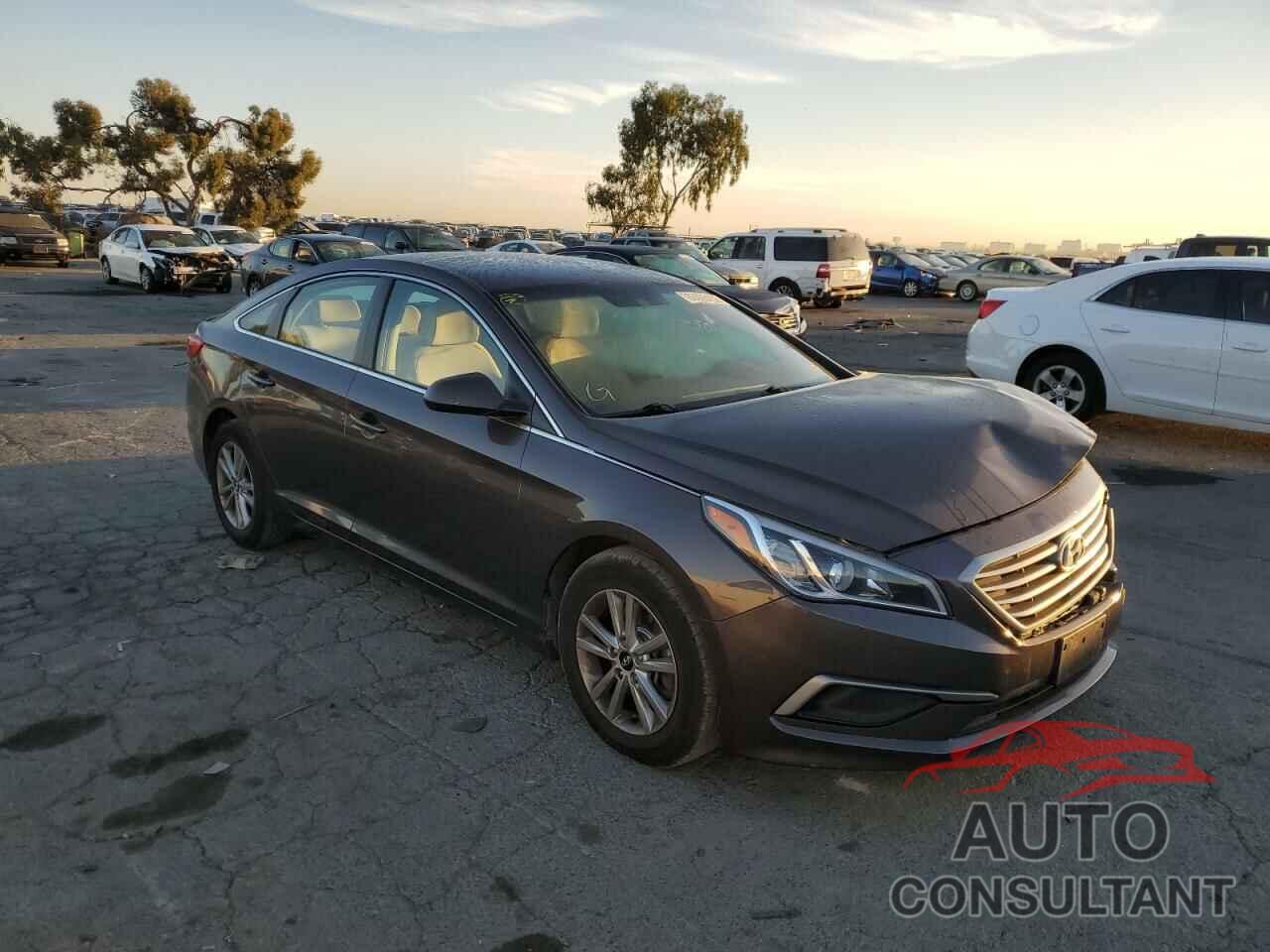 HYUNDAI SONATA 2017 - 5NPE24AF1HH438261