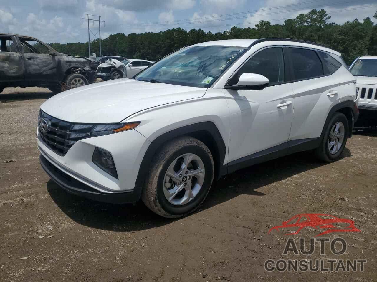 HYUNDAI TUCSON 2024 - 5NMJB3DE1RH403312