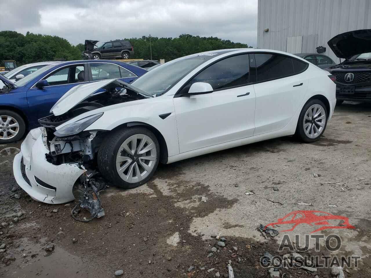 TESLA MODEL 3 2022 - 5YJ3E1EA2NF342869