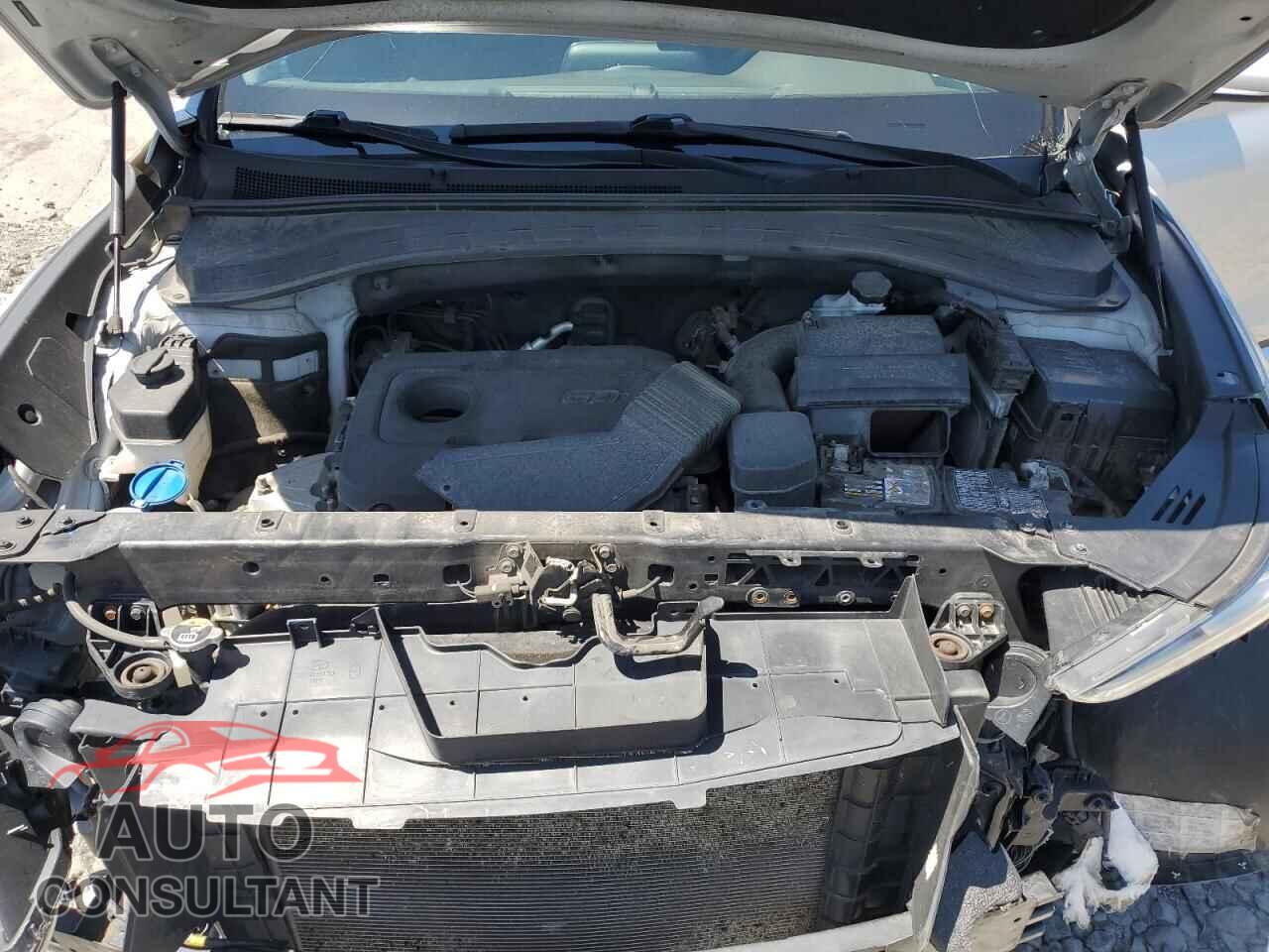 HYUNDAI SANTA FE 2019 - 5NMS2CAD0KH108398