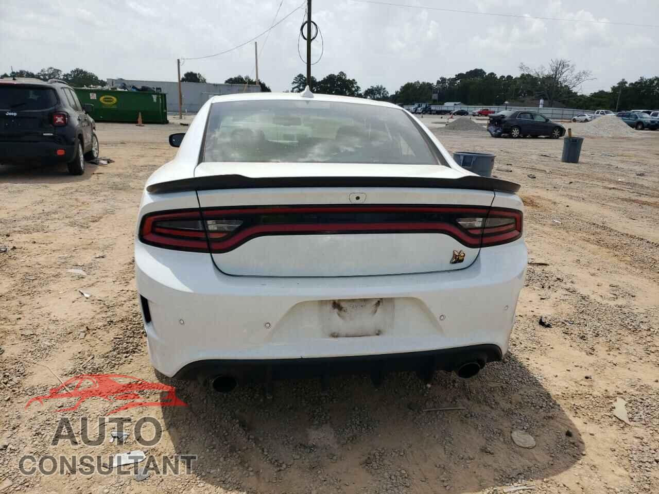 DODGE CHARGER 2019 - 2C3CDXGJ9KH519060