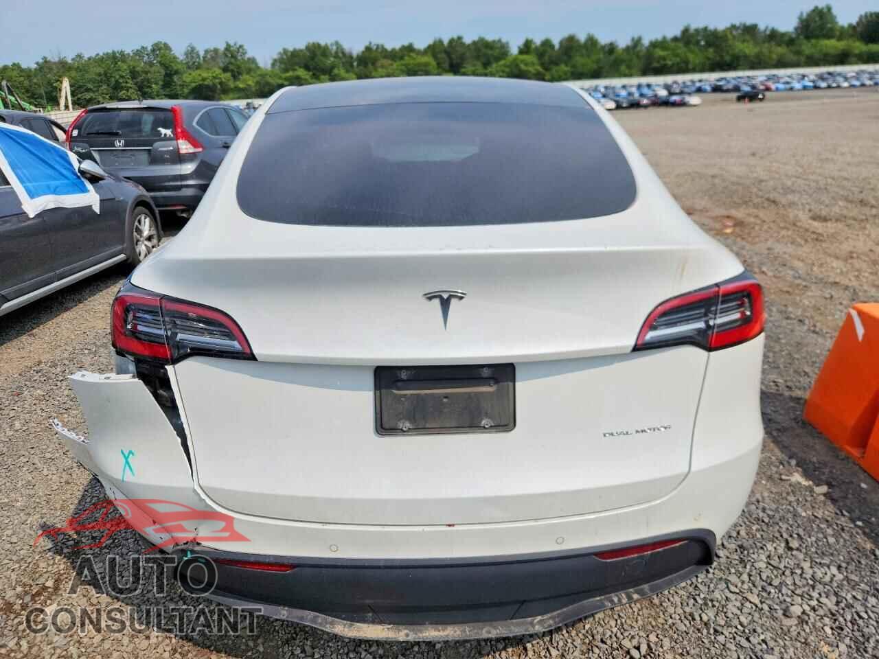 TESLA MODEL Y 2020 - 5YJYGDEE5LF041742