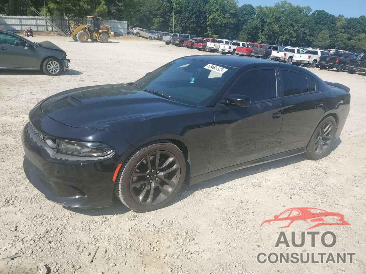 DODGE CHARGER 2020 - 2C3CDXGJ3LH223629