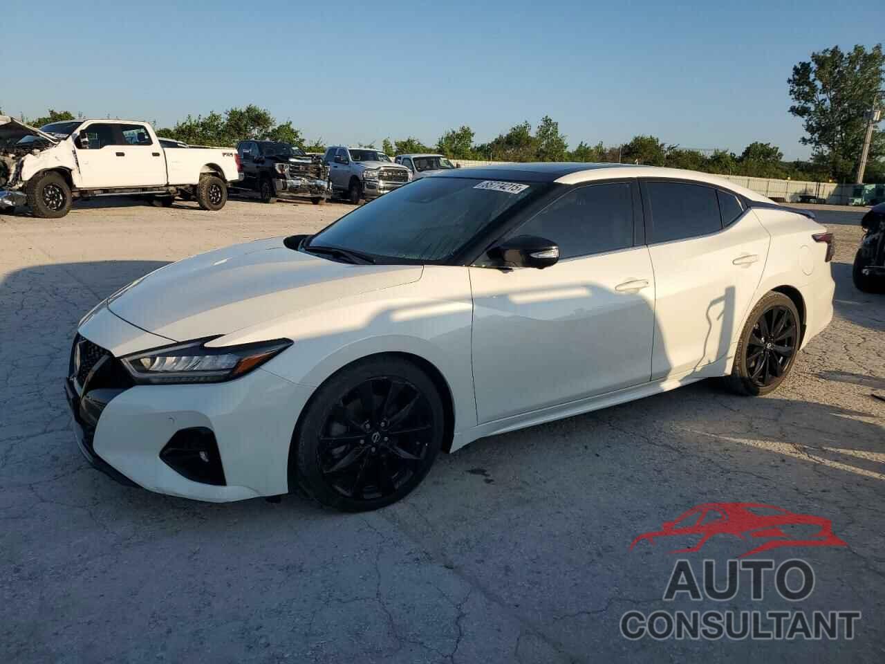 NISSAN MAXIMA 2023 - 1N4AA6EV1PC503480