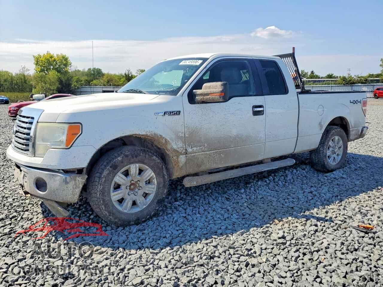 FORD F150 2012 - 1FTFX1ET1CFA67884