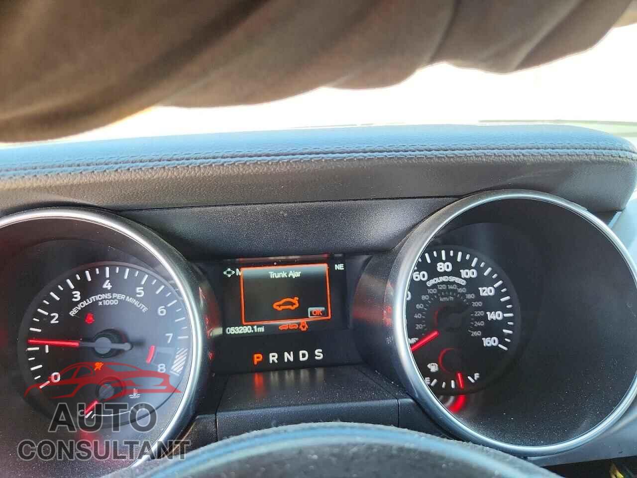 FORD MUSTANG 2019 - 1FATP8FF7K5104192