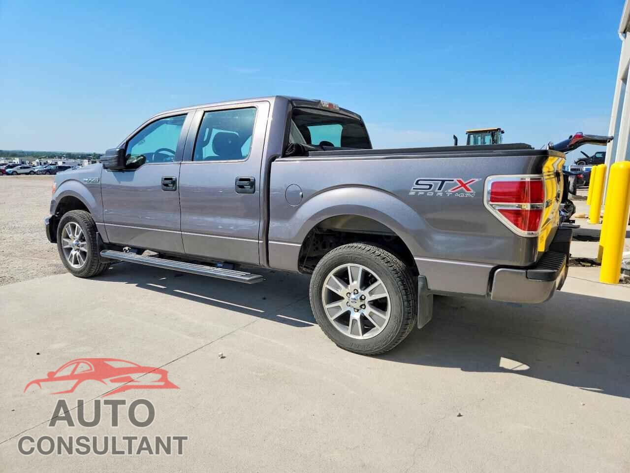 FORD F150 2014 - 1FTFW1EF7EKF61576