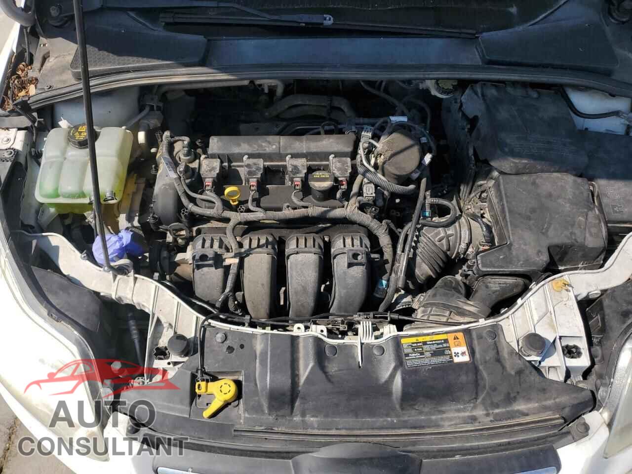 FORD FOCUS 2014 - 1FADP3F29EL118888