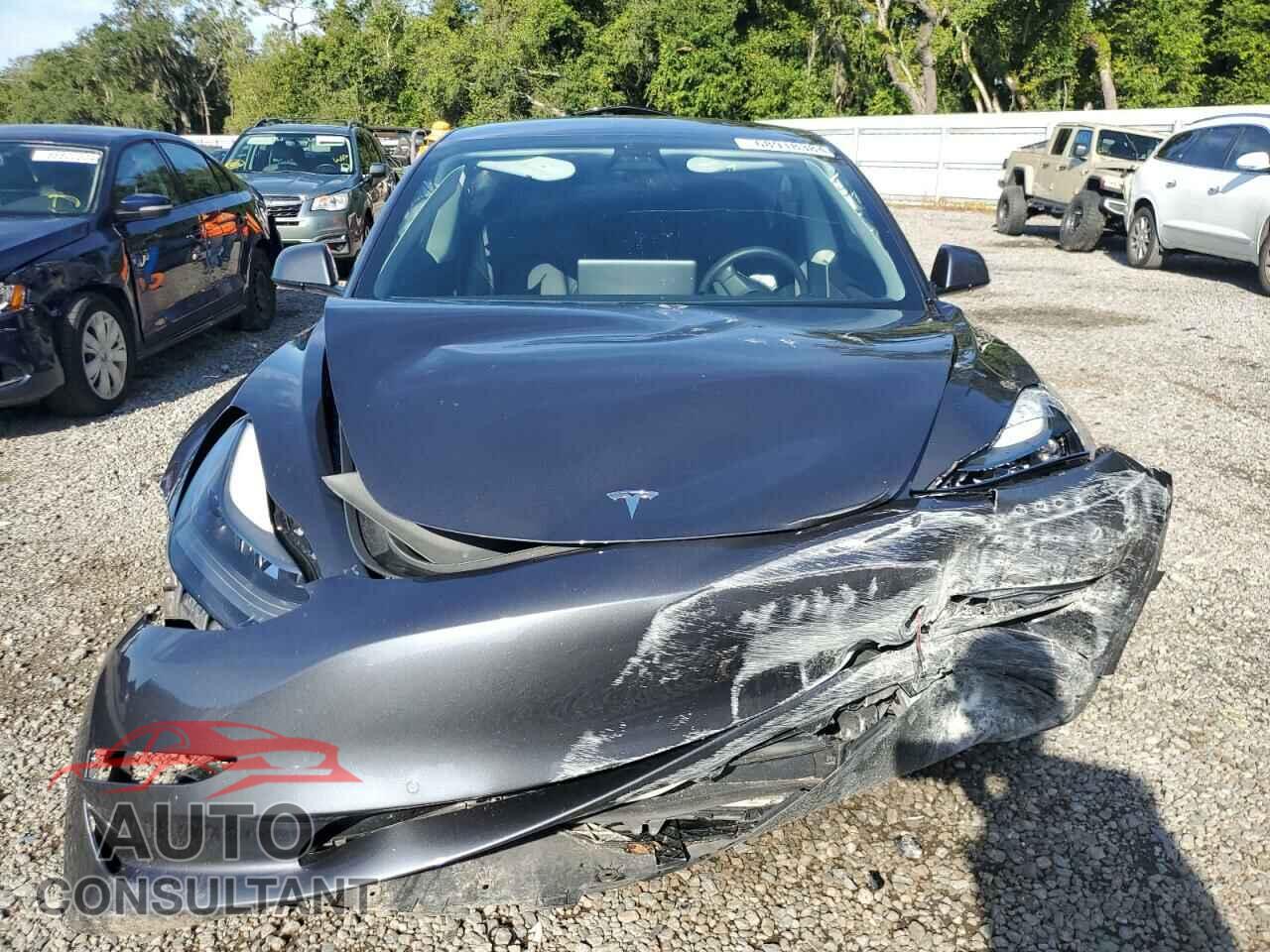 TESLA MODEL 3 2021 - 5YJ3E1EA9MF091069