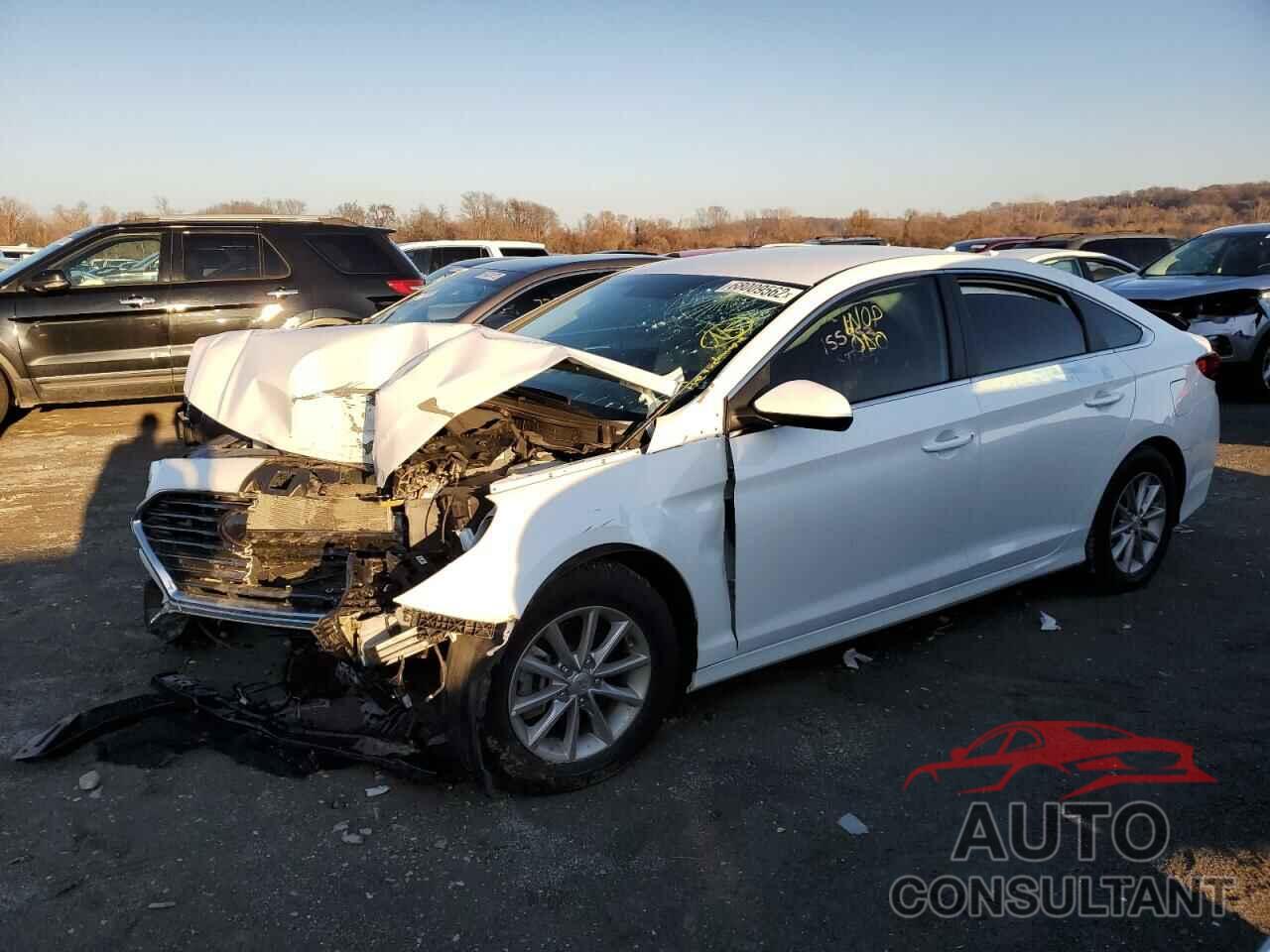 HYUNDAI SONATA 2019 - 5NPE24AF3KH792211