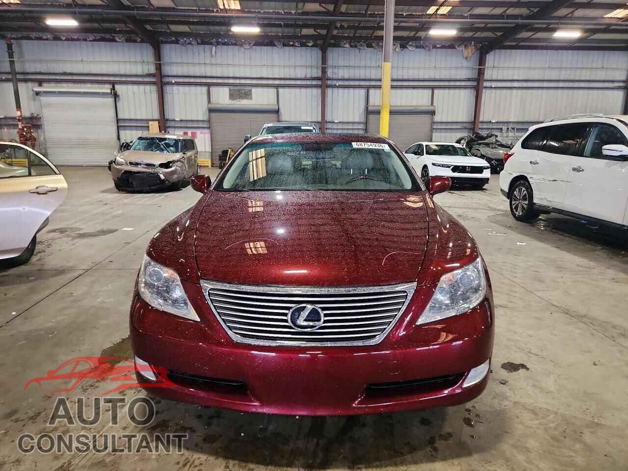 LEXUS LS460 2009 - JTHBL46F095090932