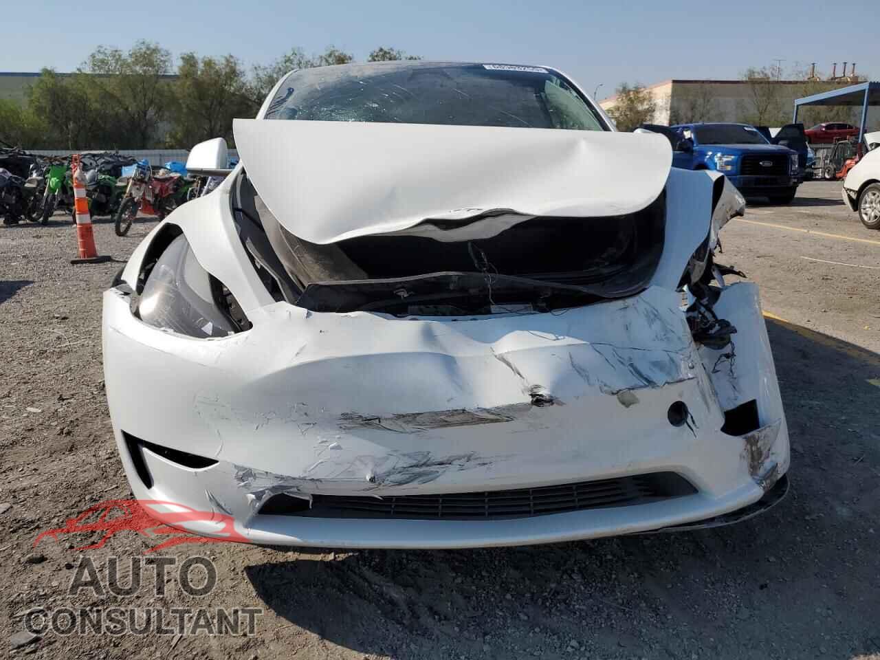 TESLA MODEL Y 2024 - 7SAYGDED1RF091587
