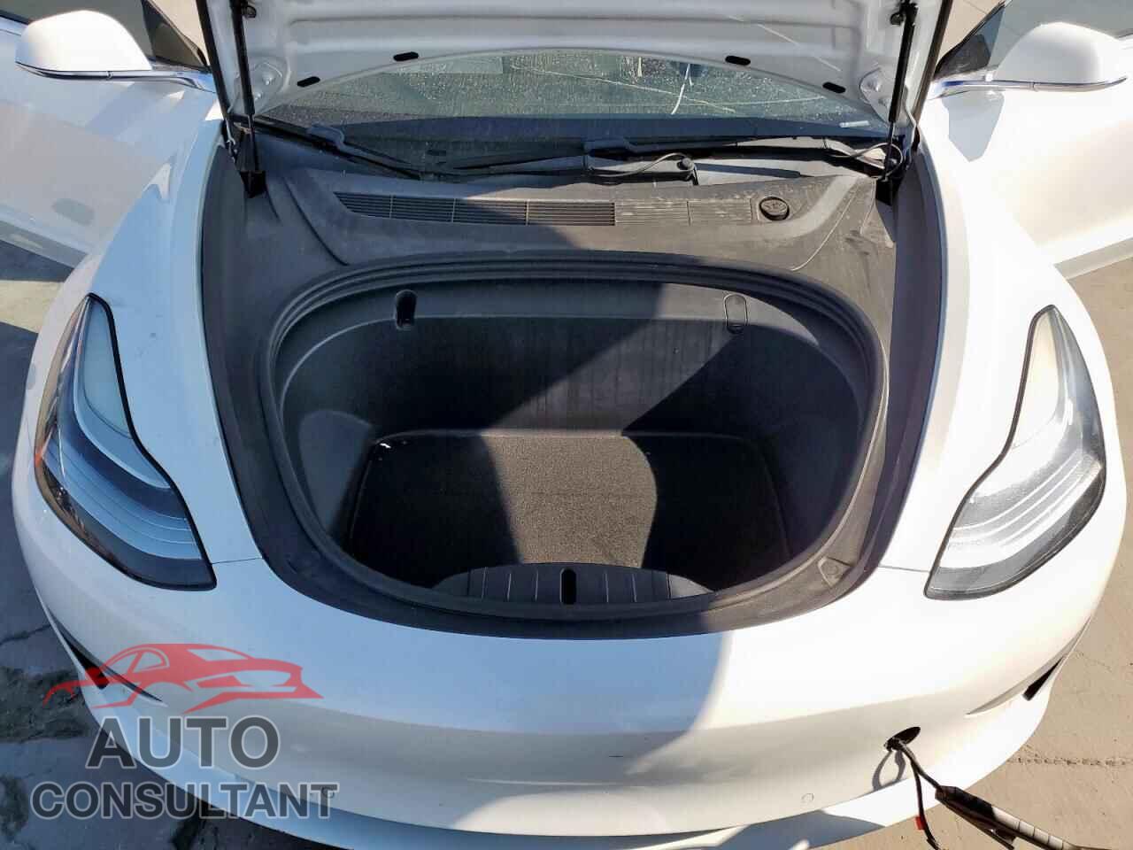 TESLA MODEL 3 2019 - 5YJ3E1EB9KF195065