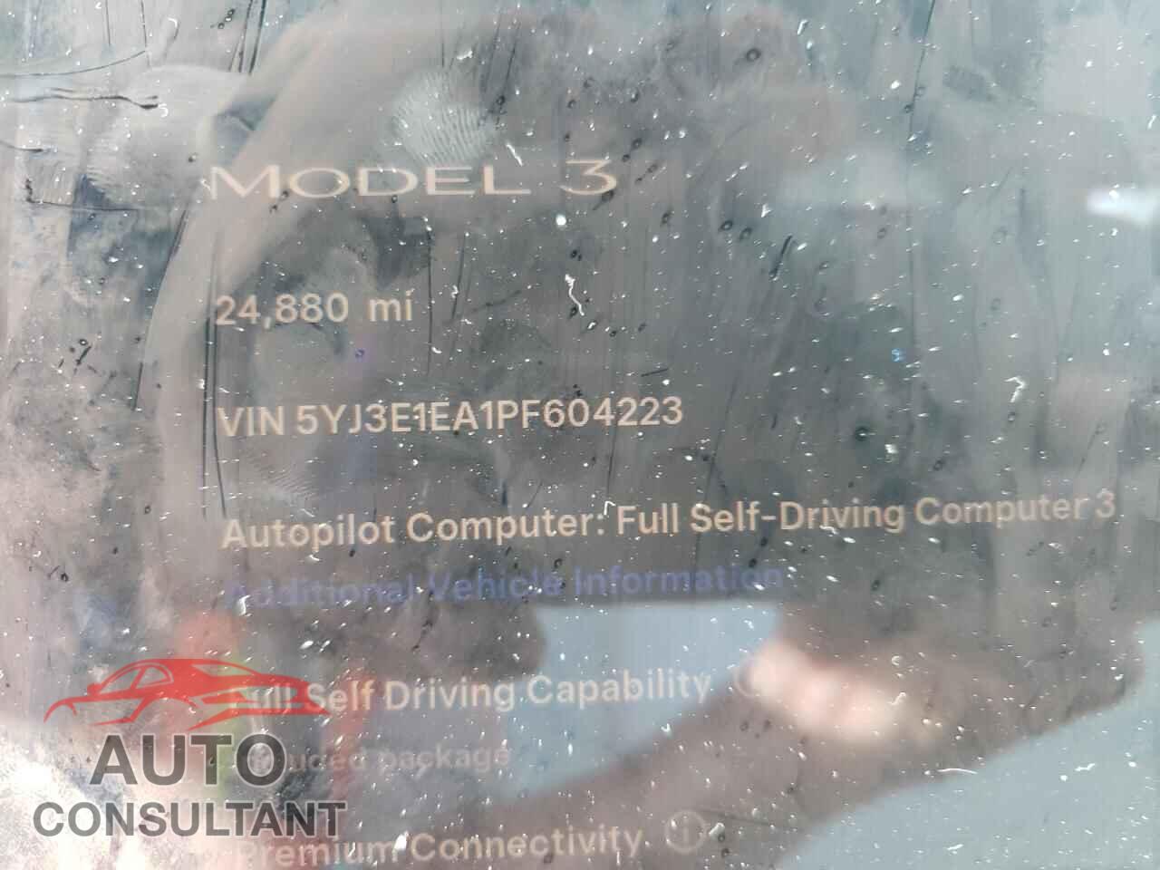 TESLA MODEL 3 2023 - 5YJ3E1EA1PF604223