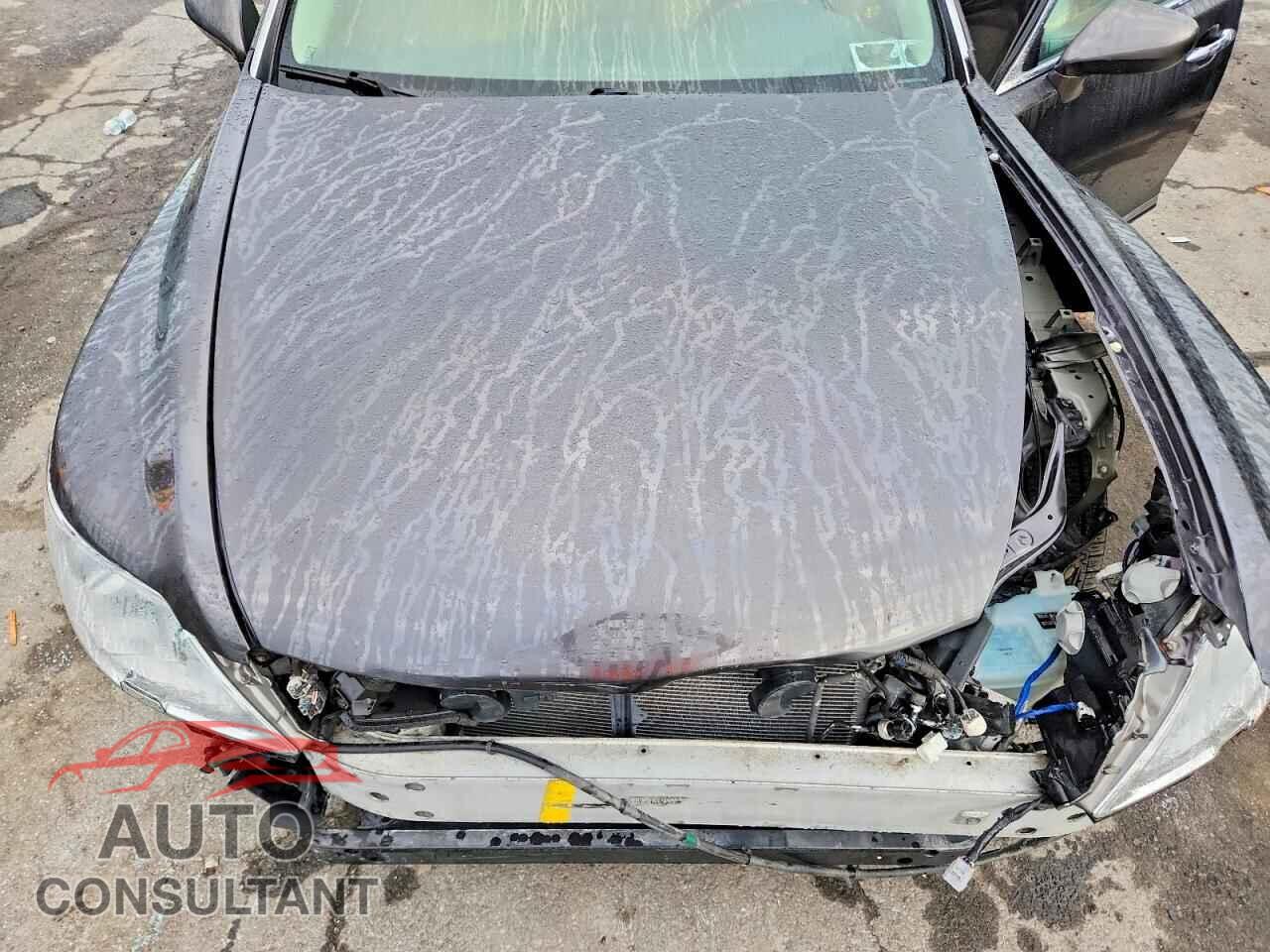LEXUS LS460 2009 - JTHCL46F695000574