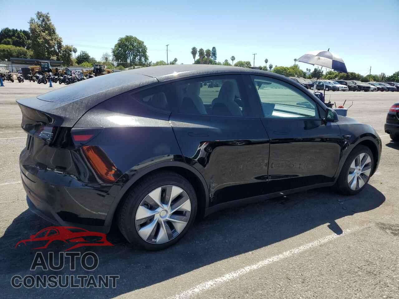 TESLA MODEL Y 2024 - 7SAYGDED1RF049744
