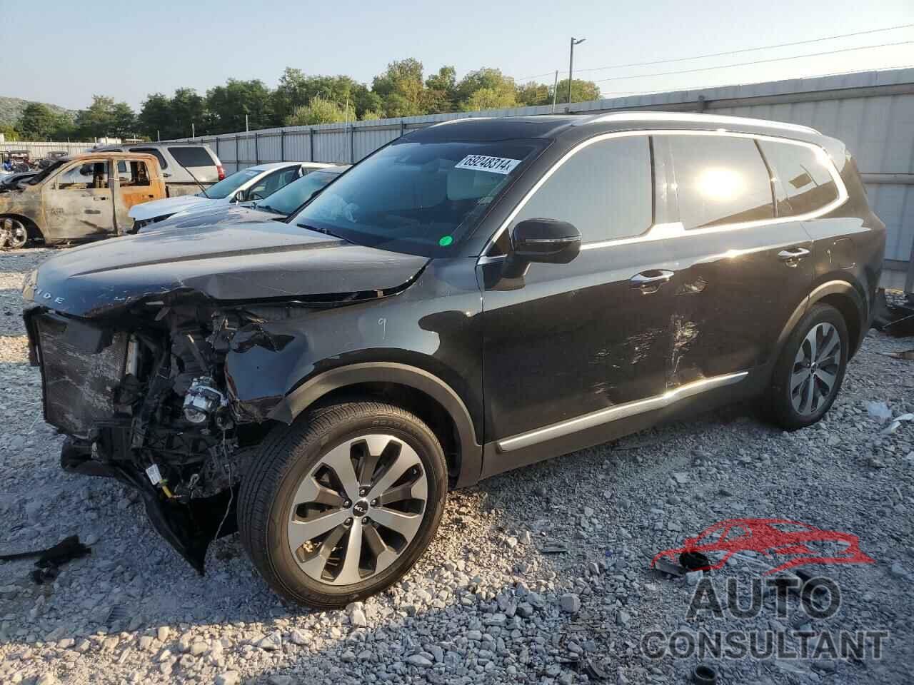 KIA TELLURIDE 2022 - 5XYP64HC3NG262079