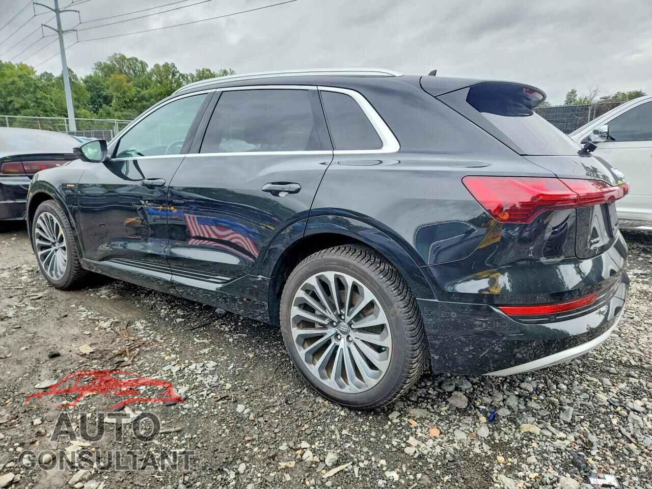 AUDI E-TRON 2019 - WA1VAAGE9KB025085