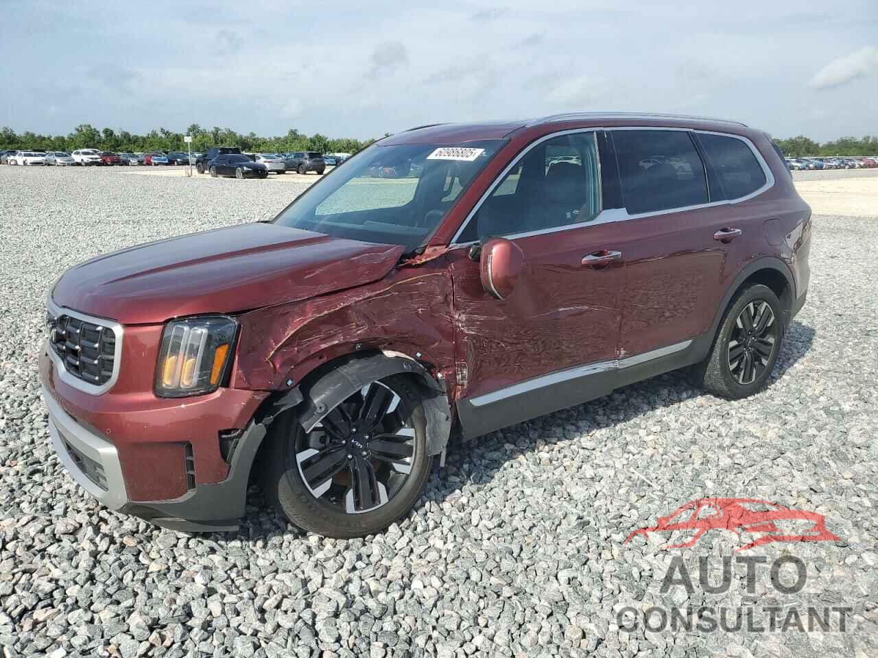 KIA TELLURIDE 2024 - 5XYP5DGC1RG416363