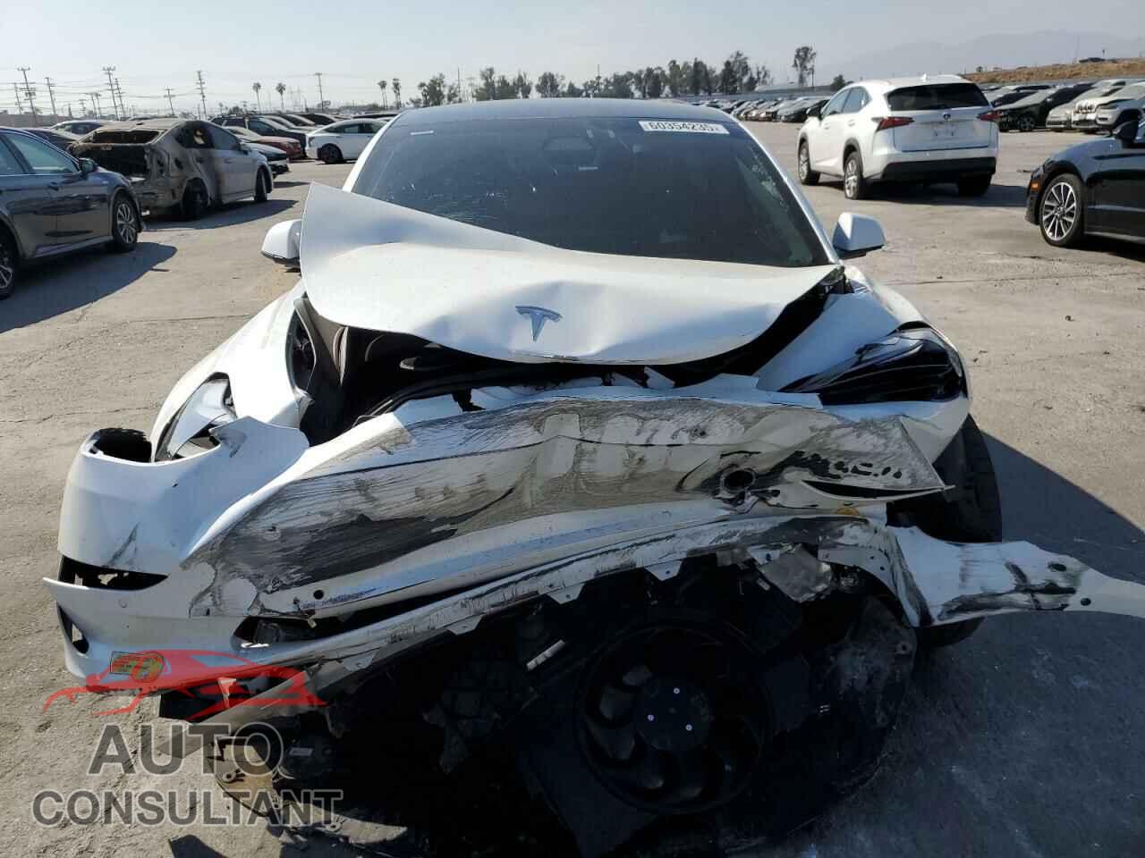 TESLA MODEL 3 2021 - 5YJ3E1EC1MF075451